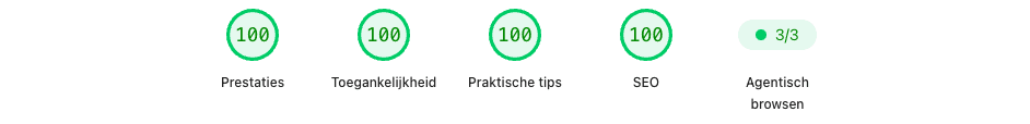 PageSpeed Insights-scoreoverzicht van Dakgootroosters.nl op mobiel: Performance 100, Toegankelijkheid 100, Praktische tips 100, SEO 100 en Agentisch browsen 3 van 3.