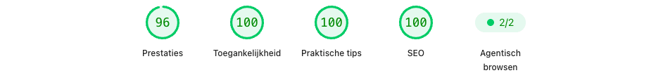 PageSpeed Insights-scoreoverzicht van Rena Service op mobiel: Performance 96, Toegankelijkheid 100, Praktische tips 100, SEO 100 en Agentisch browsen 2 van 2.