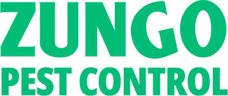 Zungo